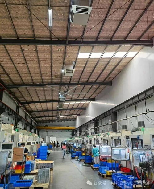 夏至已至，廠房車間降溫通風(fēng)方案指南請查收——滬通全球助您暢享清涼夏日